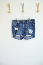 American Eagle High V-Rise Shortie Denim Shorts | 8