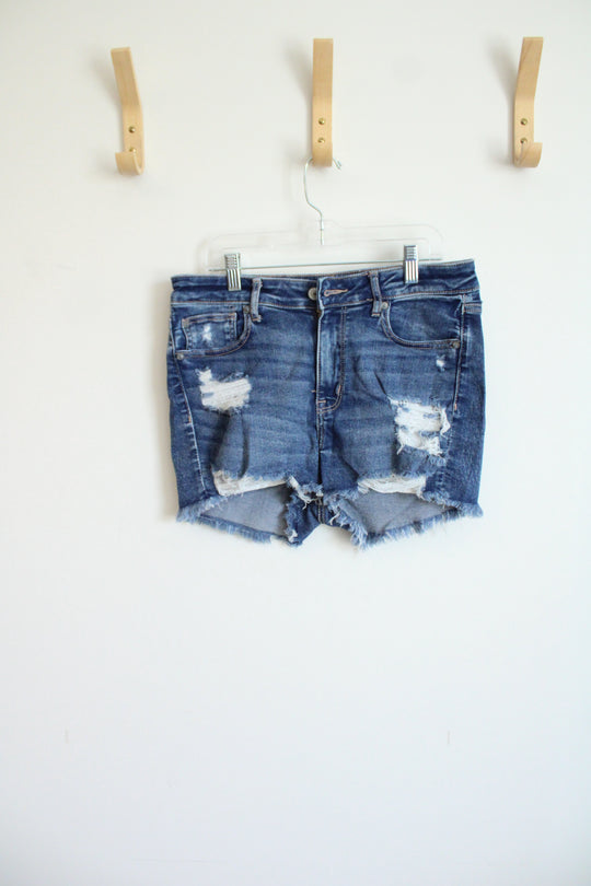 American Eagle High V-Rise Shortie Denim Shorts | 8