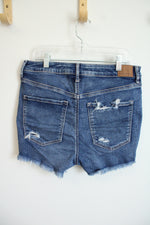American Eagle High V-Rise Shortie Denim Shorts | 8