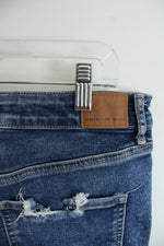 American Eagle High V-Rise Shortie Denim Shorts | 8