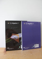 HMH Into Algebra 1 Textbook & Journal & Practice Workbook
