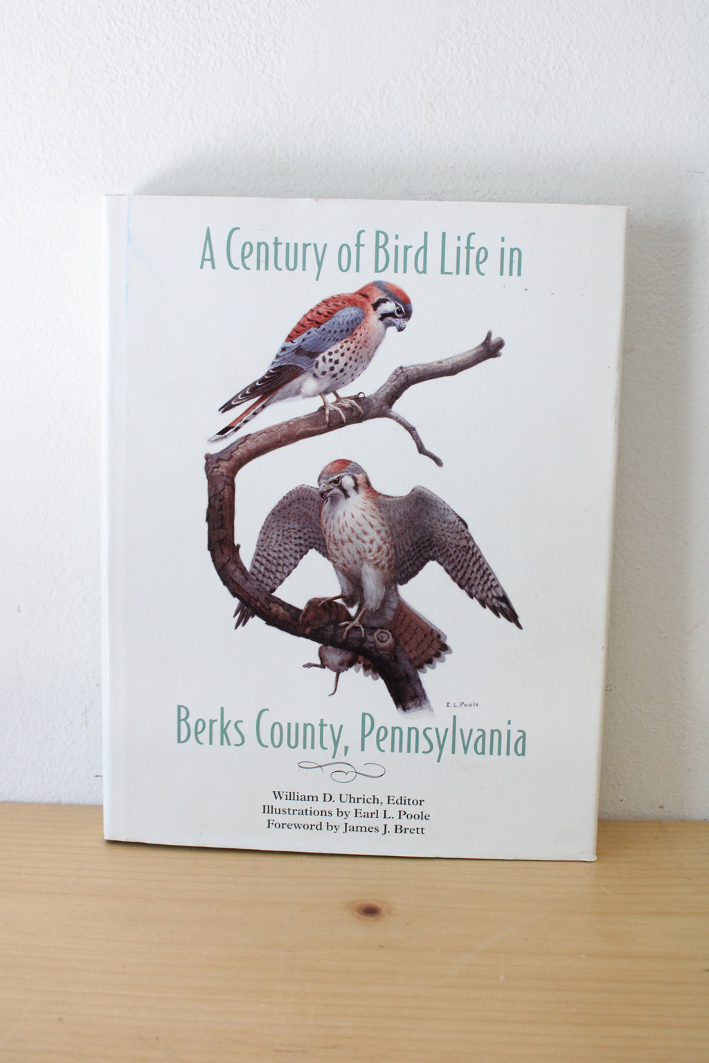 A Century of Bird Life in Berks County, Pennsylvania