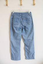 L.L. Bean Classic Fit Jeans | 4P