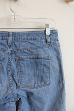 L.L. Bean Classic Fit Jeans | 4P