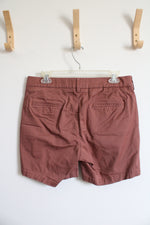 Express 6" Inseam Dusty Orange Chino Shorts | 30