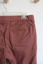 Express 6" Inseam Dusty Orange Chino Shorts | 30