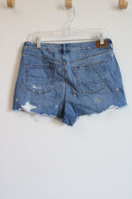 American Eagle Denim Flower Embroidered Mom Short | 10
