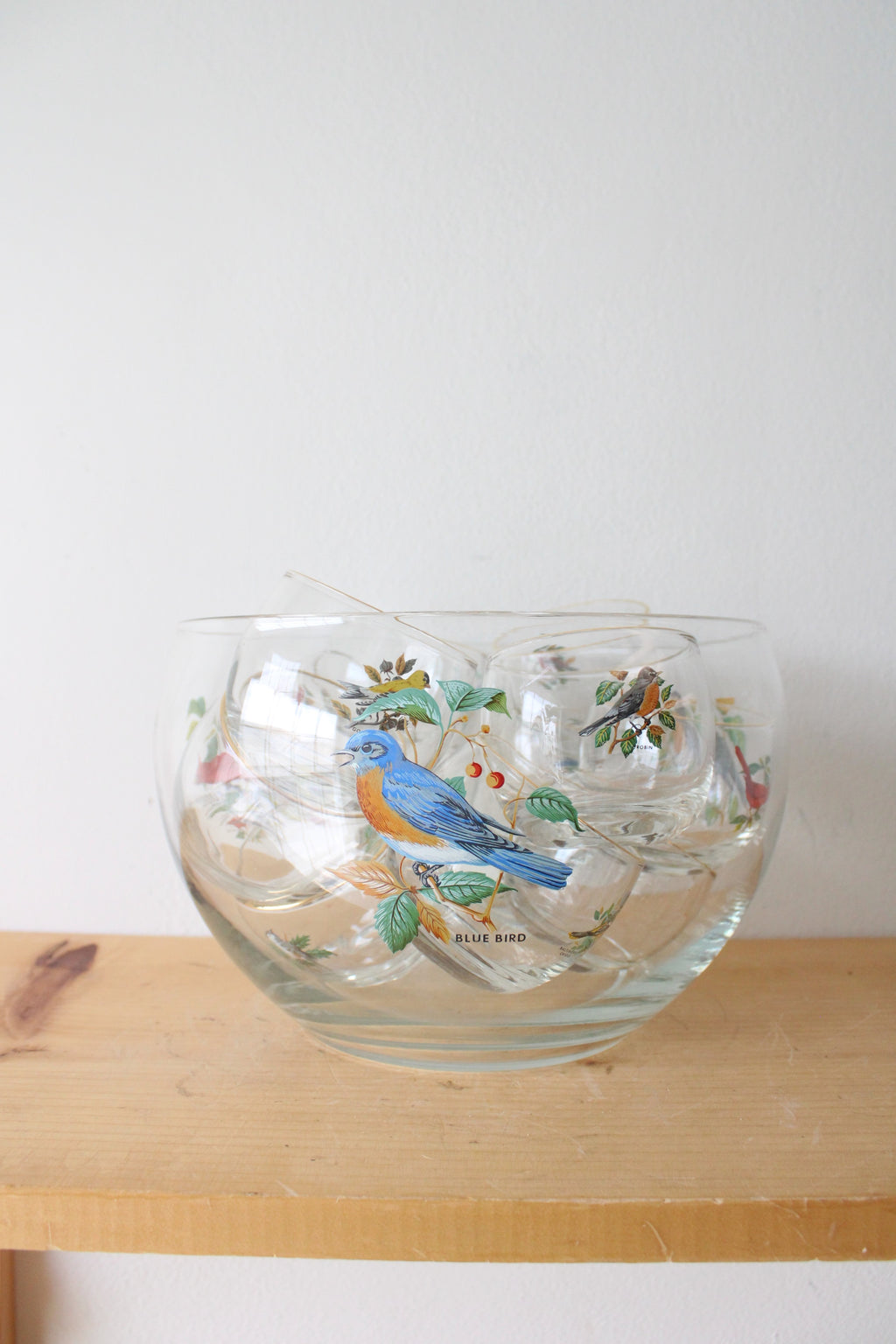 Vintage Bird Clear Glass Punch Bowl & Cup | Set Of 16