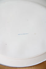 Vintage Enamelware Turkey Large Platter