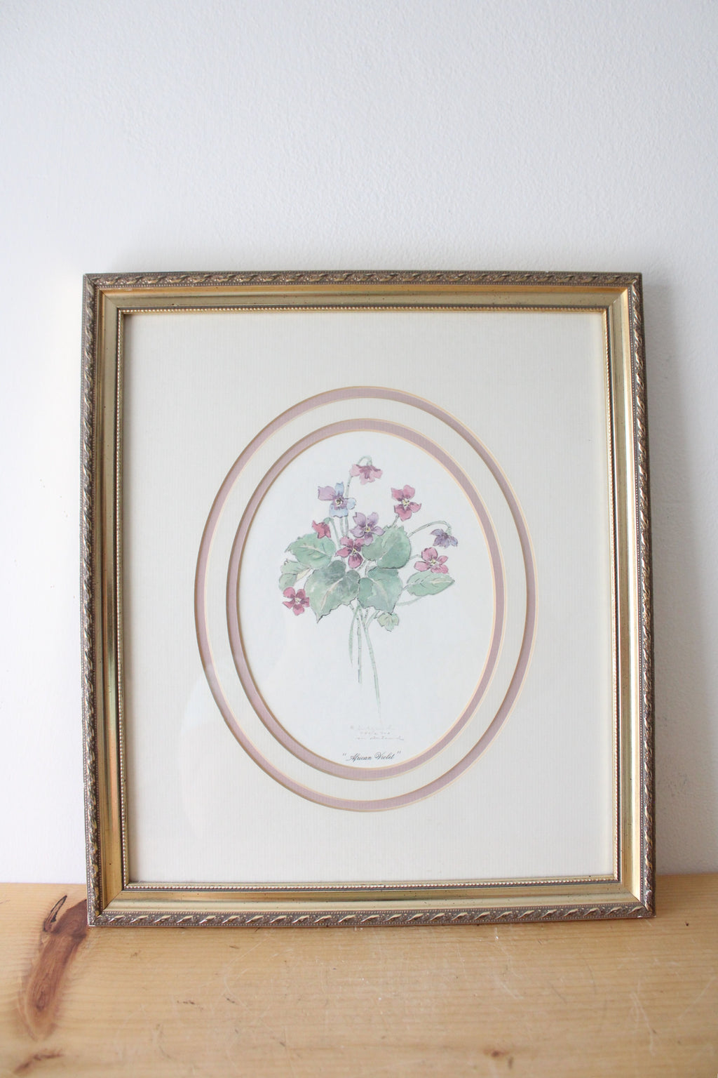 Windsor Art African Violet Watercolor Framed Painting By Mary Vincent Bertrand