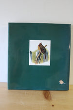 Birds of Colonial Williamsburg; A Historical Portfolio by Alan Feduccia