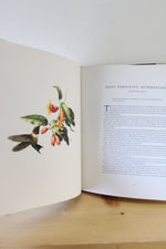 Birds of Colonial Williamsburg; A Historical Portfolio by Alan Feduccia