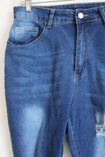 Shein Blue Stretch Distressed Skinny Jeans | 1XL