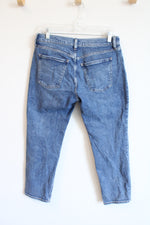 Old Navy Mid Rise Boyfriend Jeans | 2 Petite