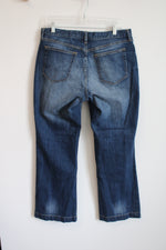 Gap Premium Long & Lean Jeans | 14