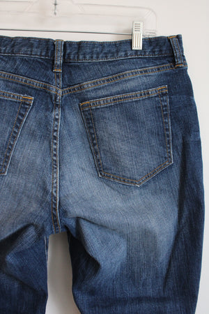 Gap Premium Long & Lean Jeans | 14