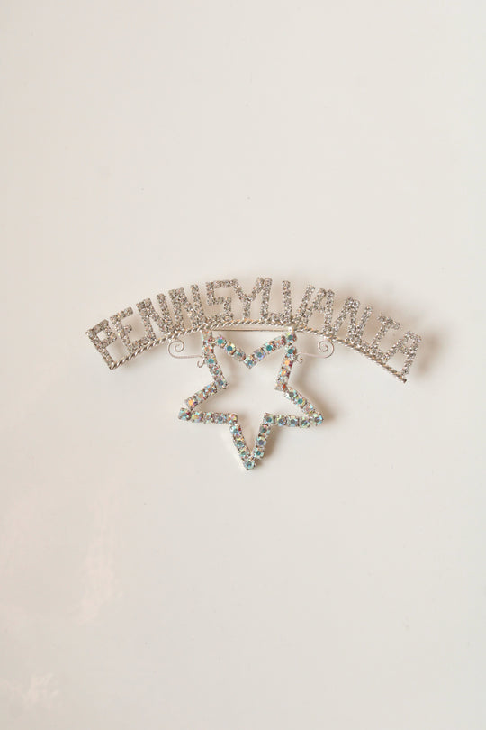 Pennsylvania State Pin