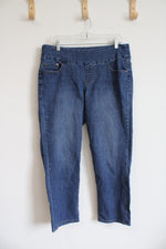 Jag Jeans Jeggings | 16