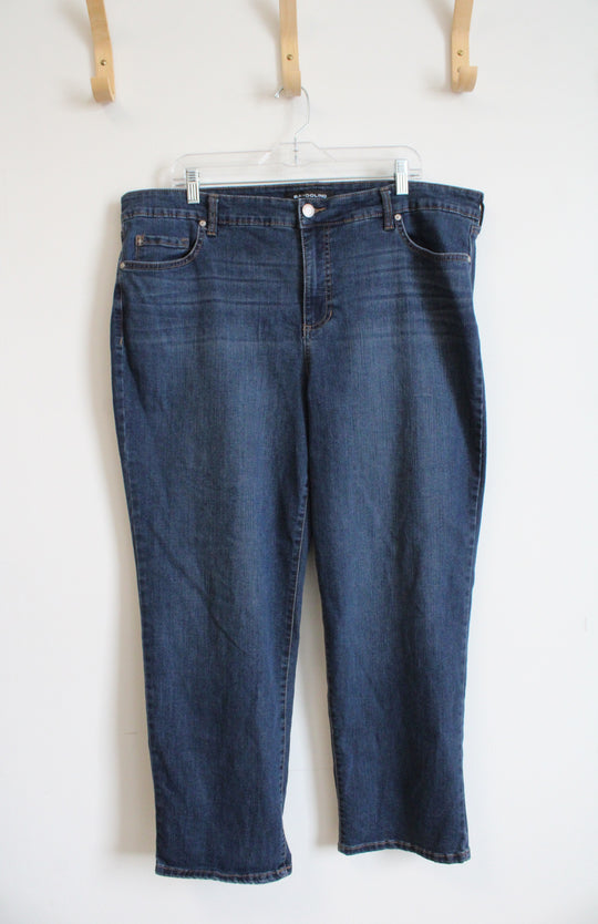 Bandolino Mandie Jeans | 20W Short