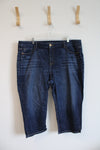 Lane Bryant Capri Jeans | 20