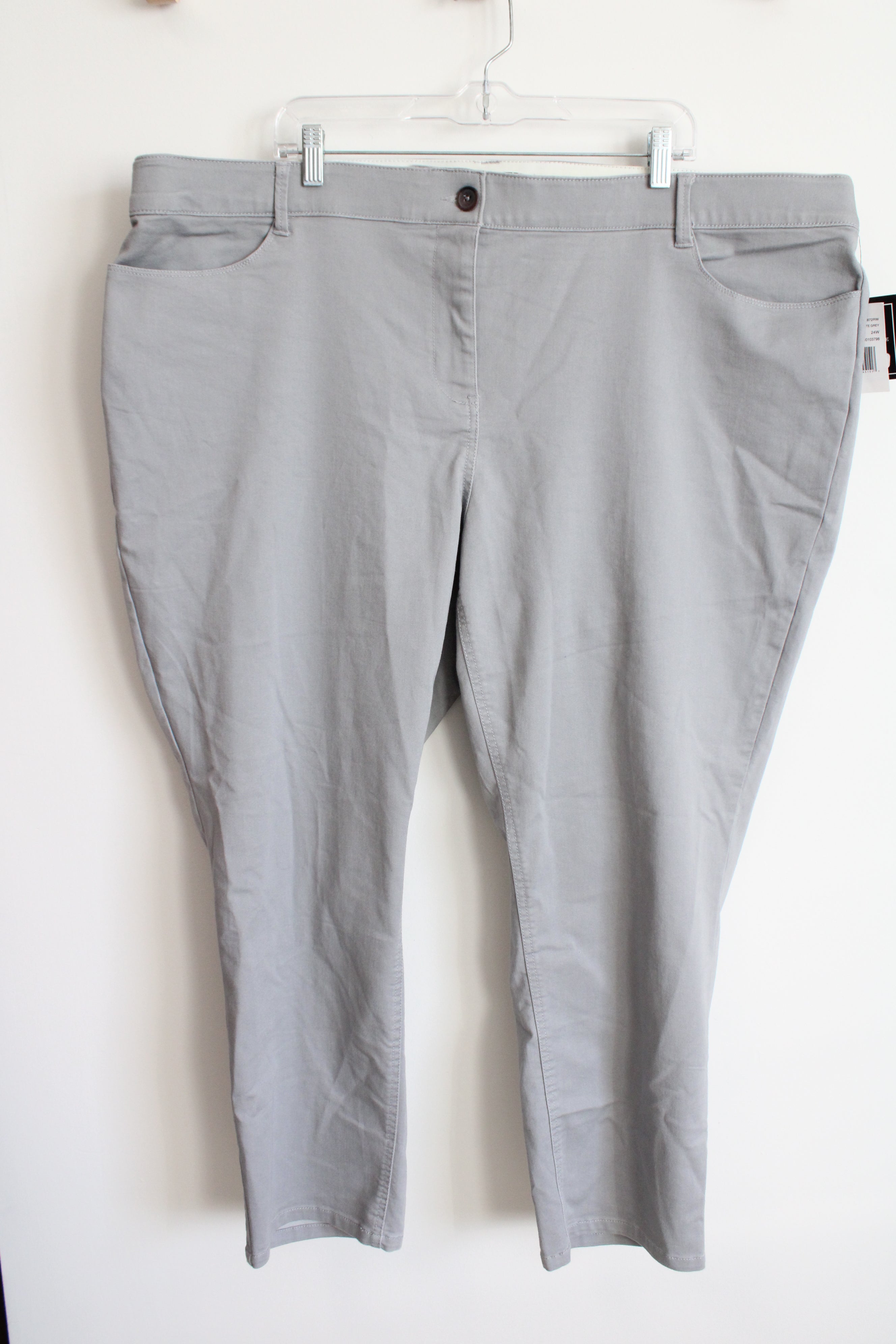 NEW Ryan Wilde Gray Chino Pants | 24W