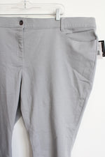 NEW Ryan Wilde Gray Chino Pants | 24W