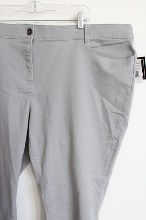 NEW Ryan Wilde Gray Chino Pants | 24W