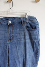 Catherines Elastic Waist Jeans | 18W