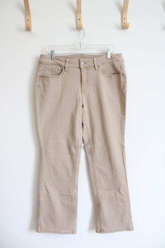 Time And Tru Tan Bootcut Pants | 16 Petite