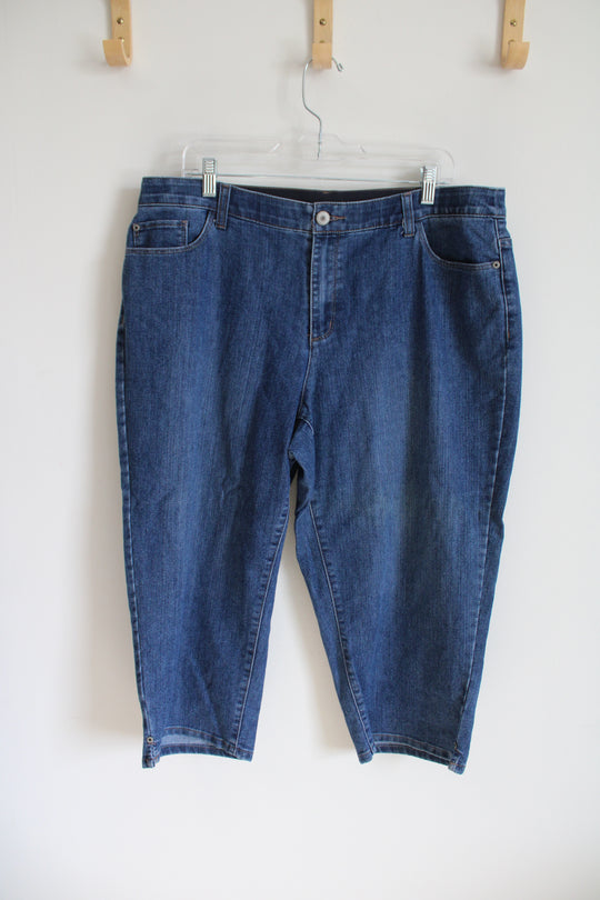 CJ Banks Elastic Waistband Jeans | 18W