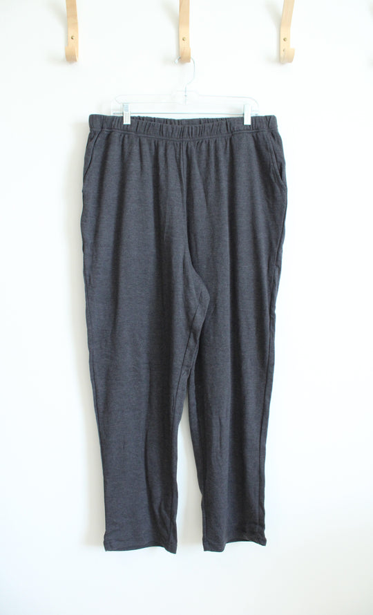 Woman Within Dark Gray Elastic Waist Pants | 22/24 (1X)
