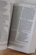 Santa Biblia Letre Grande Nueva Biblia De Las Americas Spanish Bible
