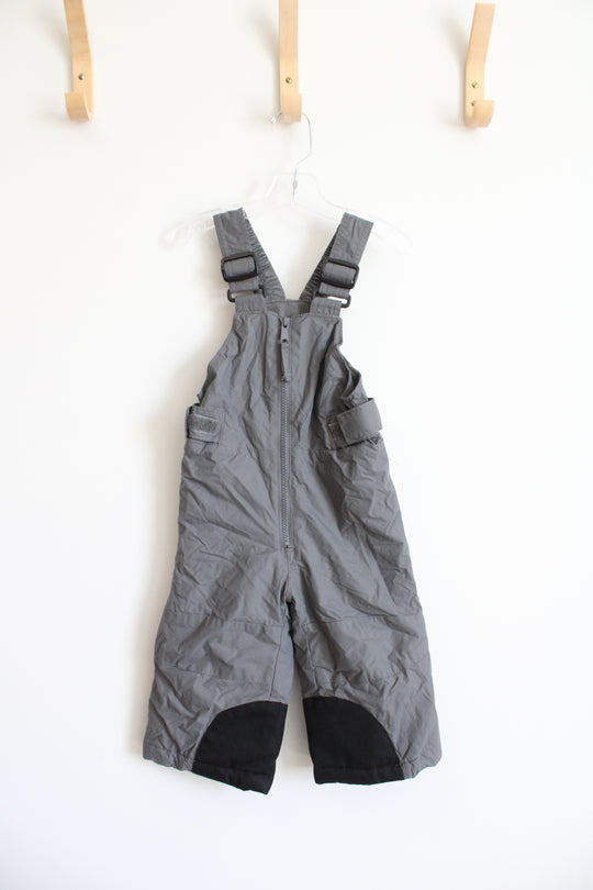 Columbia Gray Bib Snow Pants | 2T
