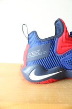 Nike Lebron James 14 USA Sneakers | Size 9