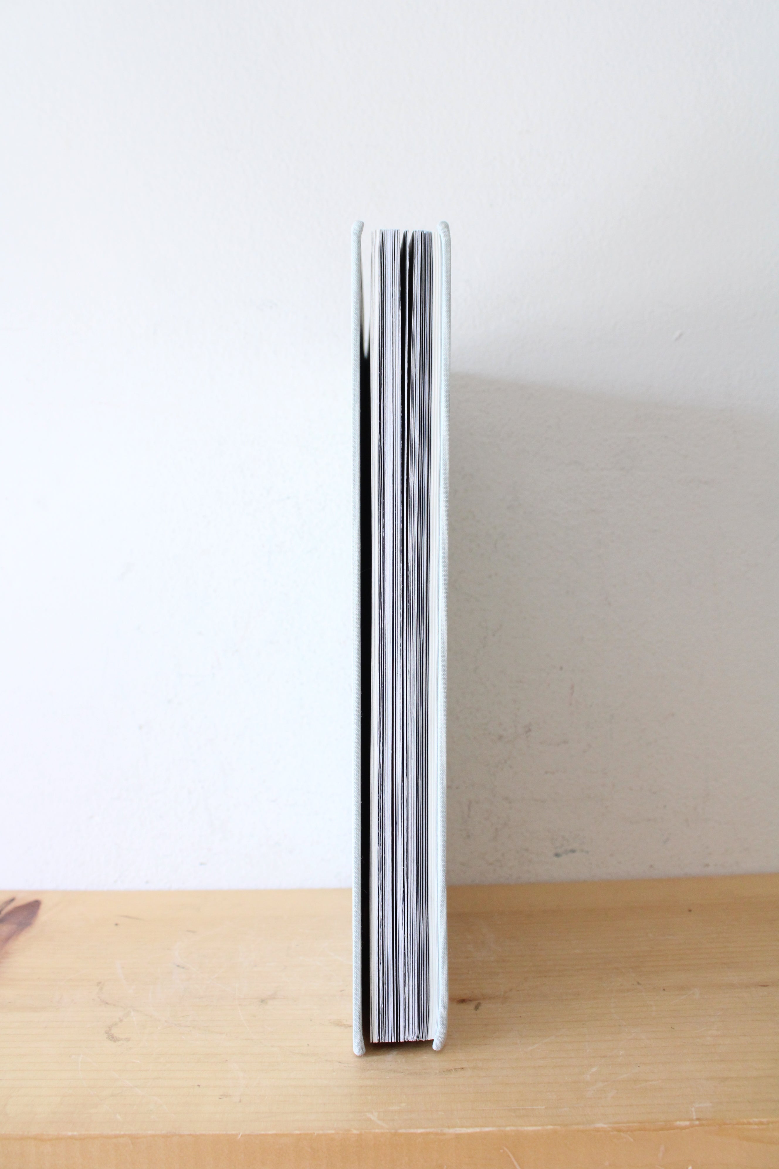 Private Views: A High-Rise Panorama Of Manhattan By Andi Schmied