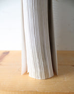 Teaching Textbooks Pre-Calculus Complete Textbook & CD Set