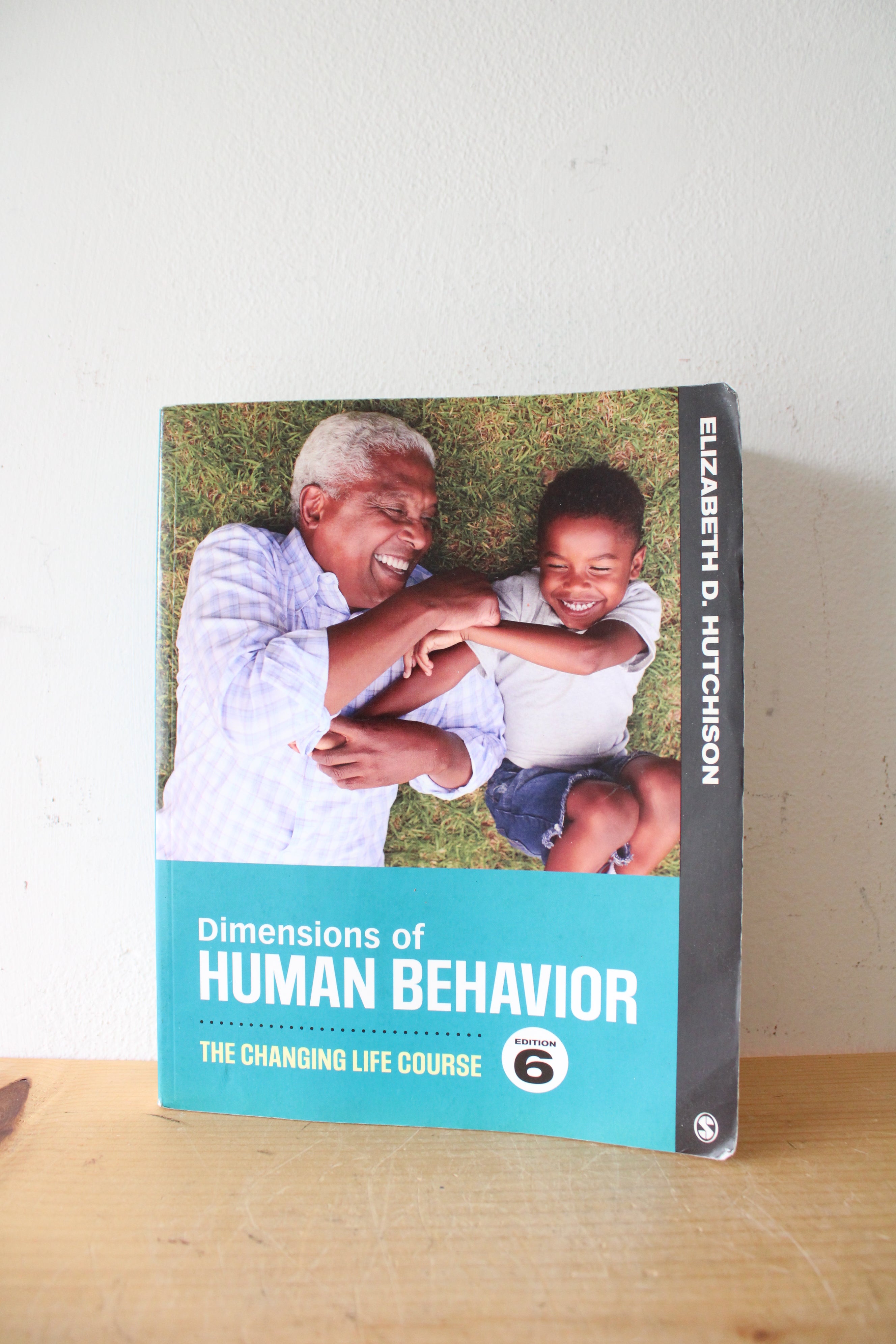Dimensions Of Human Behavior: The Changing Life Course By Elizabeth D. Hutchison 6th Edition