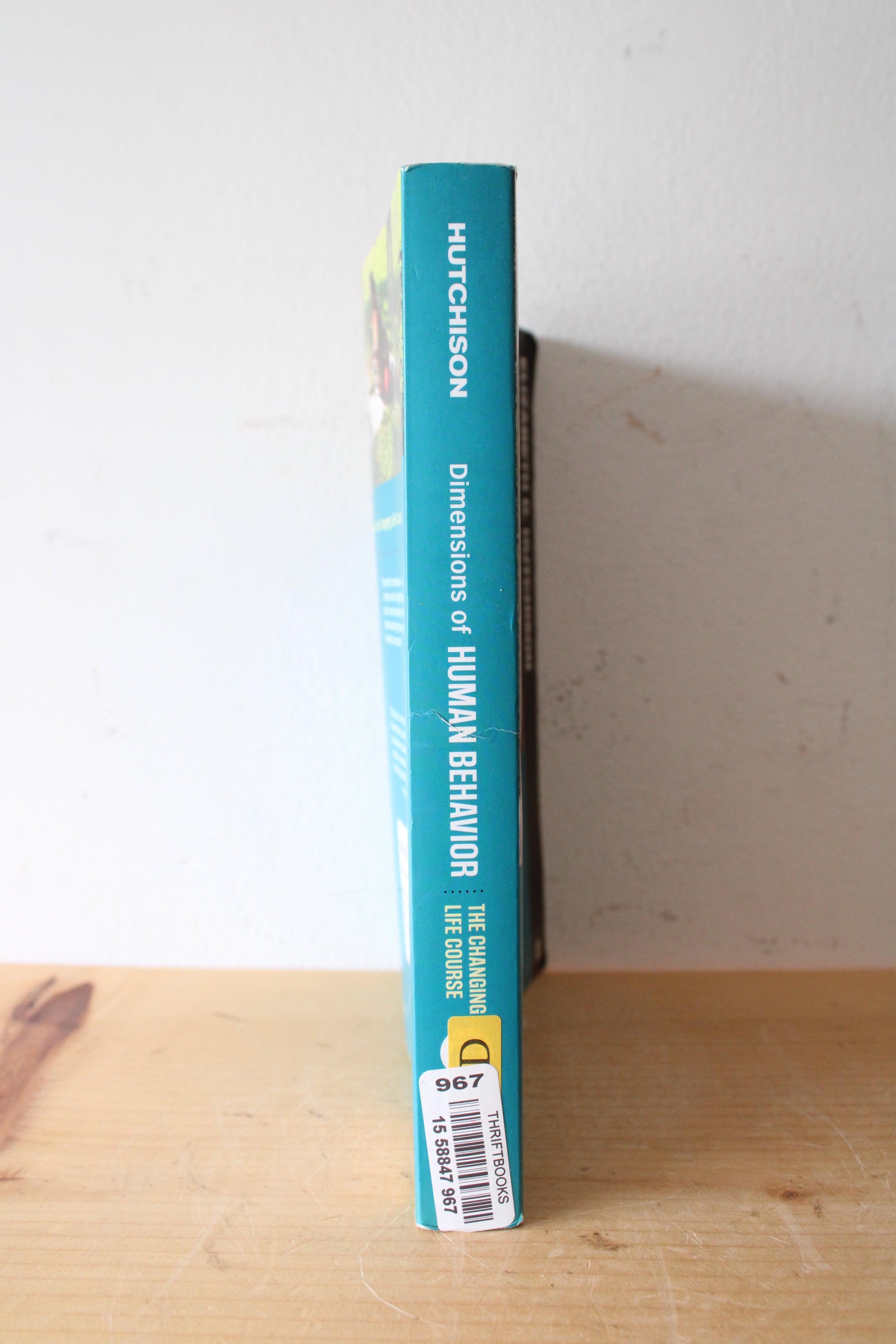 Dimensions Of Human Behavior: The Changing Life Course By Elizabeth D. Hutchison 6th Edition