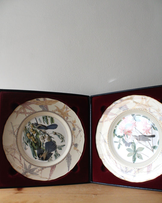 Royal Worcester John James Audubon Birds Of America Swainson's Warbler & Florida Jay Porcelain Plate Set