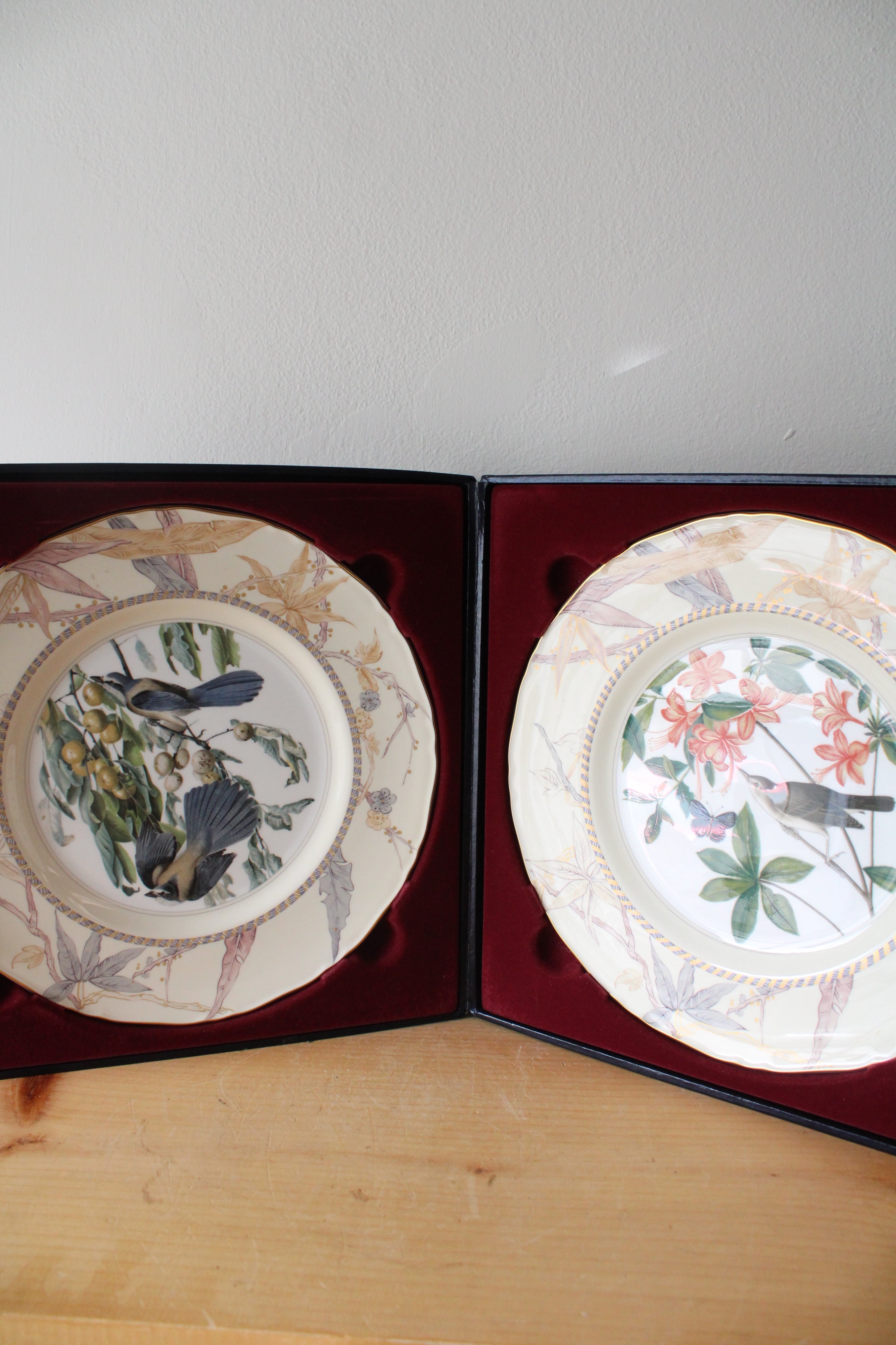 Royal Worcester John James Audubon Birds Of America Swainson's Warbler & Florida Jay Porcelain Plate Set
