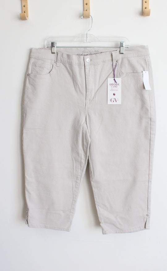 NWT Gloria Vanderbilt Amanda Capri | 16W