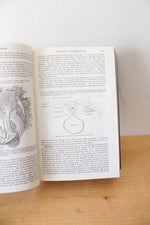 Gray's Anatomy By Henry Gray, F.R.S.
