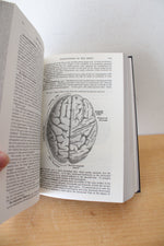 Gray's Anatomy By Henry Gray, F.R.S.