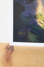 Disney Tangled 2011 Tangled Exclusive Commemorative Lithographs