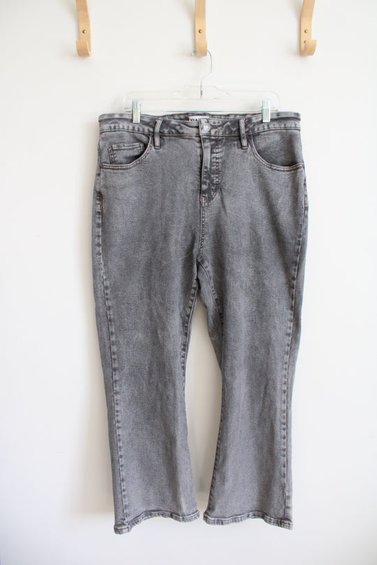 Ava & Viv Gray Jeans | 16W