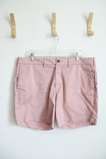 Express Pink 6" Inseam Shorts | 38