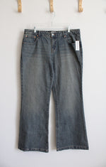 NEW Pacsun Low Rise Bootcut Leg Jeans | 32