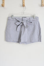 Banana Republic Blue White Striped Shorts | 2