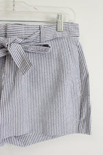 Banana Republic Blue White Striped Shorts | 2
