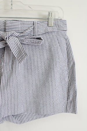Banana Republic Blue White Striped Shorts | 2